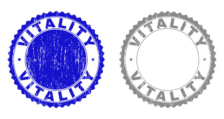 Grunge VITALITY stamp seals isolated on a white background. Rosette seals with grunge texture in blue and grey colors. Vector rubber watermark of VITALITY label inside round rosette.