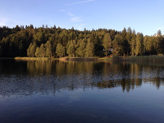 Fototapeta na wymiar reflection of autumn trees in the lake