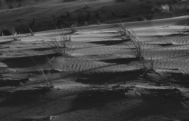 Dunes en noir et blanc