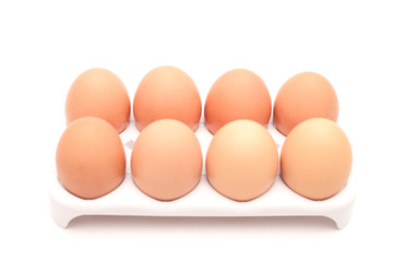 egg in clear plastic tray on white background