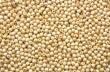 Lotus seed or lotus nut (lat.Nelumbo nucifera). Used in Asian cuisine and traditional medicine. A lot of protein, vitamins of group B and food minerals. Add to your diet. Background image.