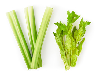 Stem and leaves of celery on a white. The form of the top.
