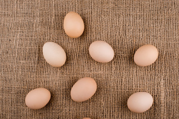  chicken eggs closeup.
