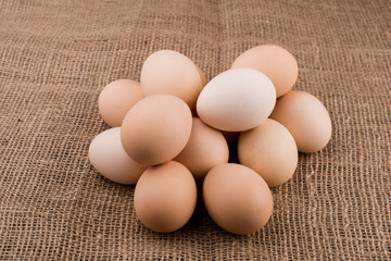  chicken eggs closeup.