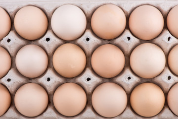  chicken eggs closeup.