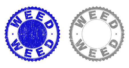 Grunge WEED stamp seals isolated on a white background. Rosette seals with grunge texture in blue and grey colors. Vector rubber stamp imprint of WEED tag inside round rosette.