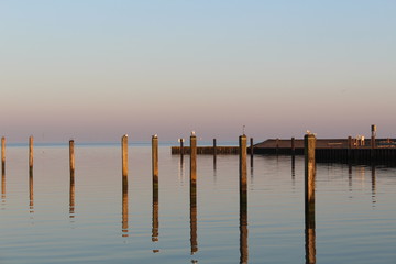 Obraz premium A seagull in the evening in the harbor
