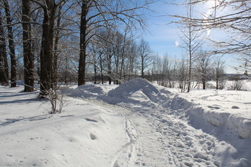 snowy road in winter