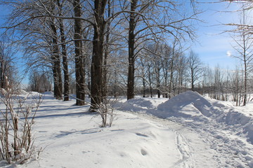 snowy road in winter forest