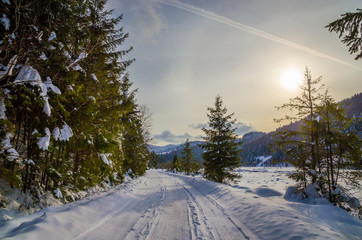 Beautiful winter landscape with snow on the trees