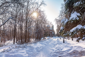 Trail in the winter snow-covered park, surrounded by trees.