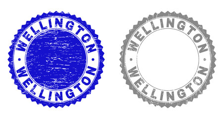 Obraz premium Grunge WELLINGTON stamp seals isolated on a white background. Rosette seals with grunge texture in blue and grey colors. Vector rubber stamp imprint of WELLINGTON title inside round rosette.