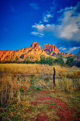 Field with Cathedral Rock, Sedona Arizona