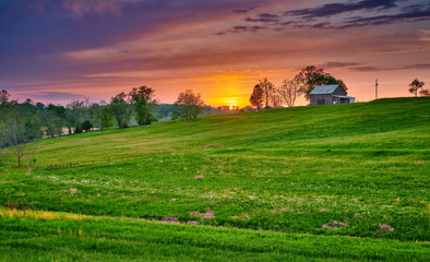 Tobacco Barn with Green  Fiield at Sunset