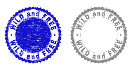 Grunge WILD AND FREE stamp seals isolated on a white background. Rosette seals with distress texture in blue and gray colors. Vector rubber stamp imprint of WILD AND FREE caption inside round rosette.