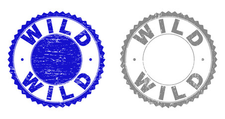 Grunge WILD stamp seals isolated on a white background. Rosette seals with grunge texture in blue and grey colors. Vector rubber stamp imitation of WILD title inside round rosette.