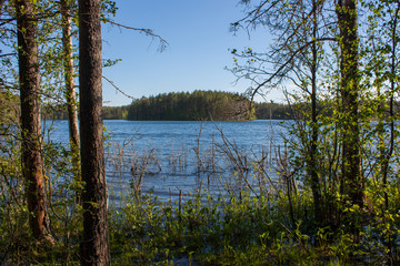 lake in the forest, озеро в лесу Карелии