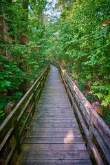 Fototapeta na wymiar Boardwalk at Pershing State Park, MO