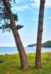 Baltic Sea with trees and the cliffs in Binz. Pomerania, Germany