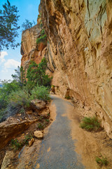 Walking Path Along a Cliff