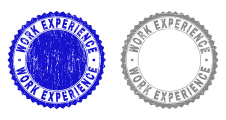 Grunge WORK EXPERIENCE watermarks isolated on a white background. Rosette seals with grunge texture in blue and grey colors. Vector rubber stamp imitation of WORK EXPERIENCE tag inside round rosette.