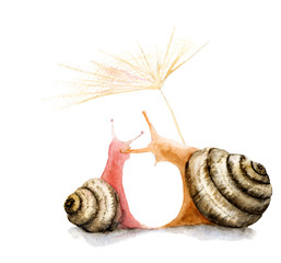 watercolor drawing two snails in love, hugs, kiss © Toshka