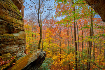 Fall Foliage from Crack in the Rocks, KY