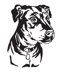 Decorative portrait of Mongrel Dog vector illustration