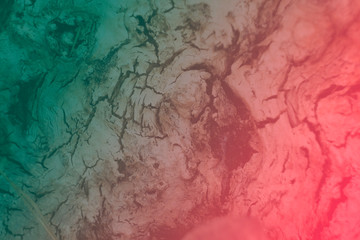 background wood natural centuries-old tree located in the Park, the colors in the spectrum of brown. textured pattern