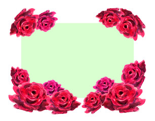 A light green rectangle decorated with repeating watercolor painted bright scarlet lush flowers of roses on a white background.