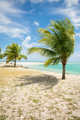Obraz premium A view of the beautiful Praia do Sossego (Sossego beach) on Itamaraca island (Pernambuco, Brazil)