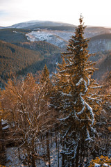 view over Harz Mountains National Park, Germany