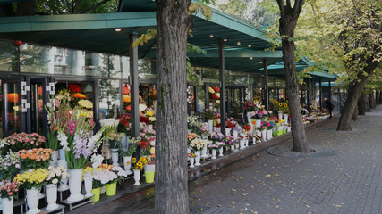 Flower shop