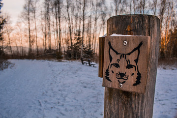 wooden sign of lynx in winter landscape, walking trail sign leading to lynx sanctuary in Harz Mountains, Germany