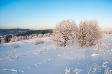 Fototapeta na wymiar winter morning in the mountain valley