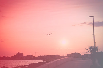 a heavenly place on the land for relaxing on the sea, the Peninsula is the summer trip