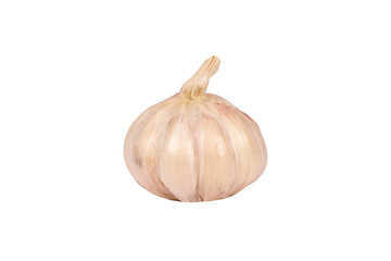 Garlic head, isolated, on white background