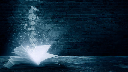 The book is open, magical glow, rays of light. 
