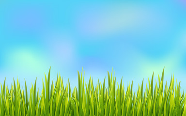 Fototapeta na wymiar Fresh grass border with blue sky background. Golf field decoration element. Vector illustration..