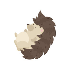 Cute hedgehog lies on his back and swinging. Close-up on a white background.