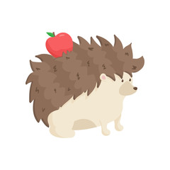 Cute hedgehog carries red apple on his back with needles. Close up side view