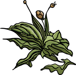 Flower vector illustration.