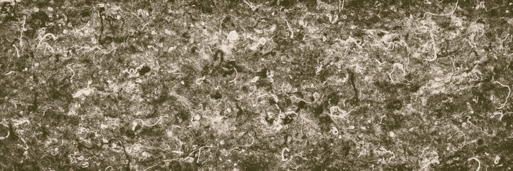 Abstract hairy texture