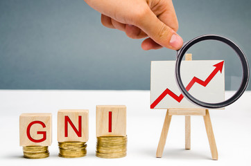 Wooden blocks with the word Gni and up arrow. Gross national income is the sum of a nation's gross...