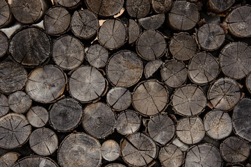Textured background of the old firewood logs in cut
