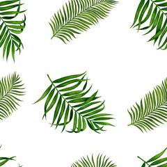 Seamless pattern with palm leaves. Tropical leaves watercolor. Pattern for fabric, wallpaper and wrapping paper. Watercolor illustration of hand painting. 