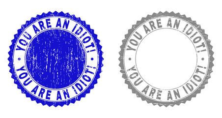 Grunge YOU ARE AN IDIOT! stamp seals isolated on a white background. Rosette seals with distress texture in blue and gray colors.