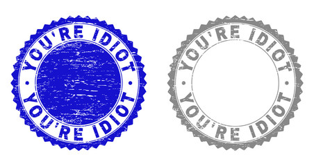 Grunge YOU'RE IDIOT stamp seals isolated on a white background. Rosette seals with distress texture in blue and gray colors. Vector rubber stamp imitation of YOU'RE IDIOT title inside round rosette.