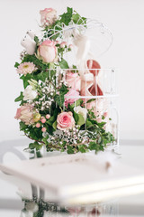 Colorful flowers with pastel and soft colors