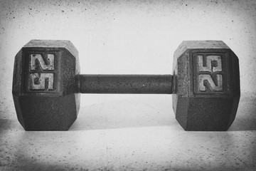 Dumbbell, 25 lbs, Solo 04